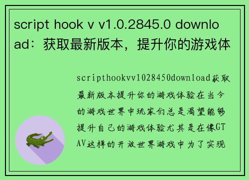 script hook v v1.0.2845.0 download：获取最新版本，提升你的游戏体验！